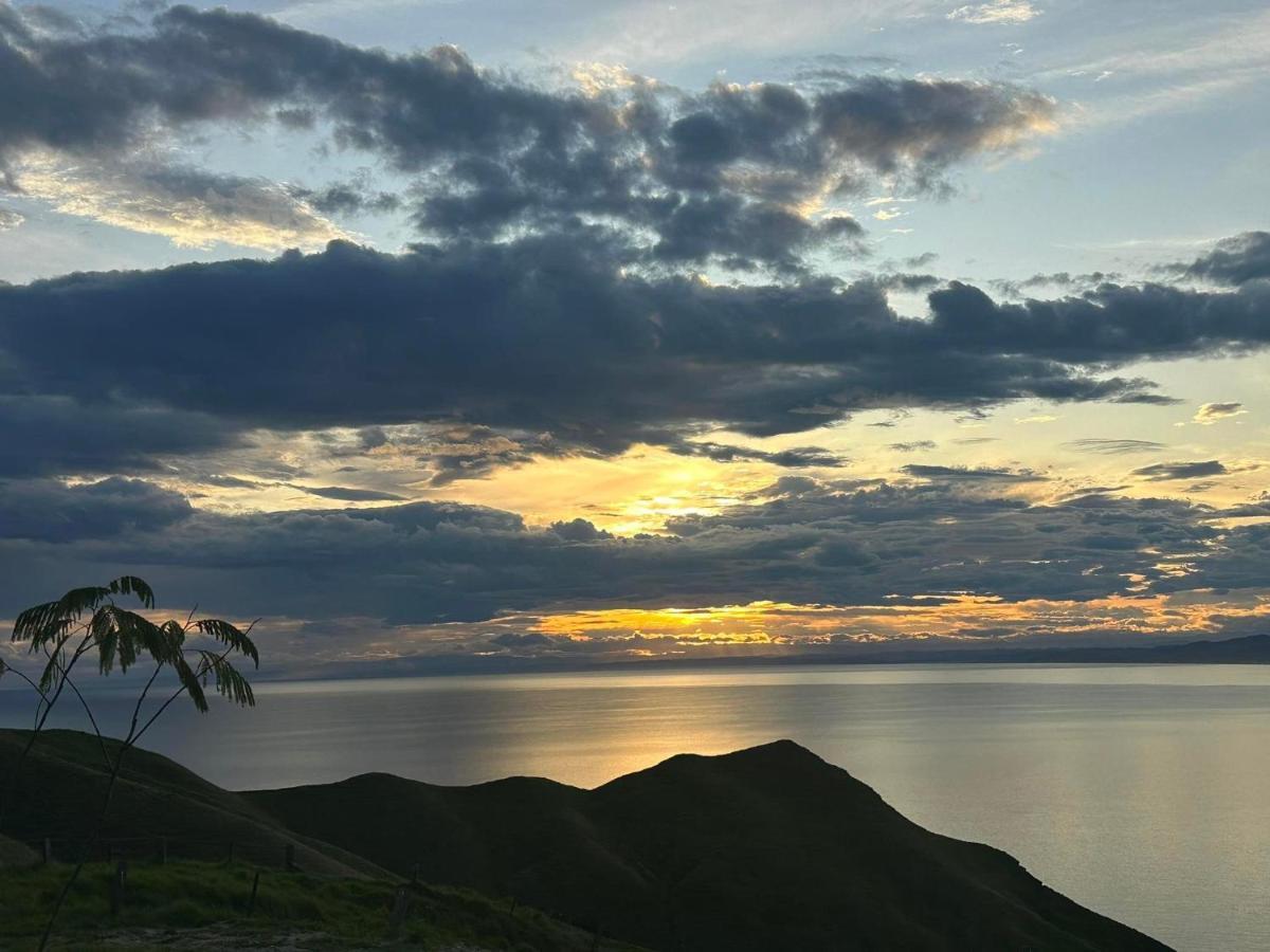 Вілла Ocean Waters Mahia Екстер'єр фото
